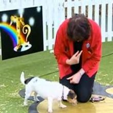 STAGE TUBE: OVER THE RAINBOW - Week 3 Search for Toto!